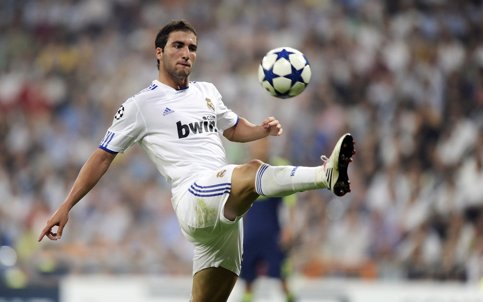 “冠军的瞬间:感人全场的夺冠时刻”,冠军的视频